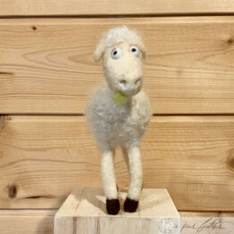 Mouton-laine-feutrée-01-A