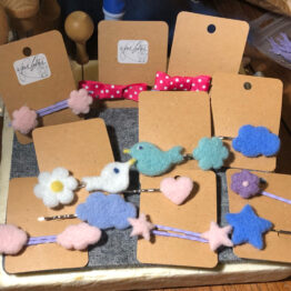 Accessoires pour cheveux